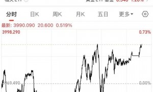 特斯拉“精简版”Model Y亮相：售价39990美元，续航里程下降，多个功能降级！分析师：失望！特斯拉市值一夜蒸发4600亿元