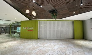 突发｜盒马创始人今年2月创立的“派特鲜生”，12月中旬将全部关闭