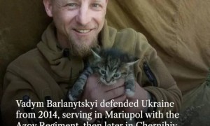 前线的动物们：俄博主称道马匹的好处，乌军心爱的猫猫和浣熊们