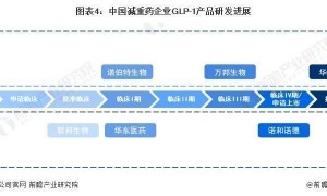 全球首富亲测！马斯克自曝转用礼来减肥药，效果比司美格鲁肽更好，副作用更少【附减重行业现状分析】