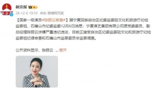 国家一级演员陈丽云被查！涉嫌严重违纪违法