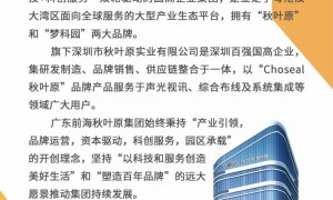 为什么游戏玩家钟爱DP接口？电竞优势全解析！