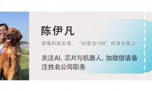 中国英伟达们相继上市，但对国产GPU的考验才刚开始