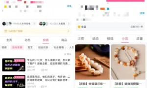 独家｜B站小店上线，闯出电商新天地？