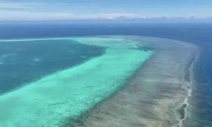 权威解读：为何建立黄岩岛国家级自然保护区？