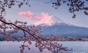 又是武士道！难怪我国忽然报道歼16拦隐身机！原来日美澳有大动作