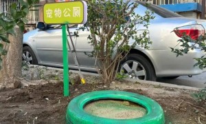 家门口成“狗公厕”，女子喷驱狗剂却被犬主告上法庭