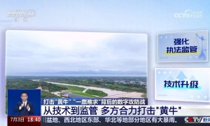 打击“黄牛”！“一票难求”背后的数字攻防战