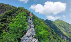男子登山时玩手机摔下悬崖，后发朋友圈称“福大命大”，景区：涉事地点禁止攀爬
