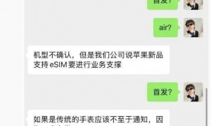 苹果要在手机上再删除一个孔