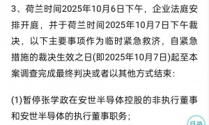 突发！荷兰政府对闻泰科技安世半导体下手：张学政董事职务被停，一外籍董事将有决定性投票权，中资股权仅剩1股！去年其营收147亿