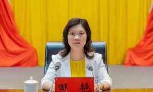 厅官田艳被逮捕，曾为自己营造声势捞取政治资本