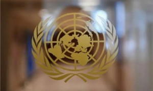 在也门被扣押的12名联合国外籍雇员离开萨那