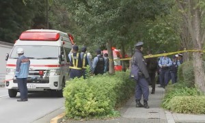 特朗普即将访日 美驻日使馆附近发生持刀袭警事件